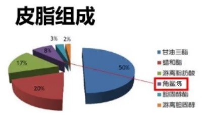 角鯊烷-皮膚成分-負載鎳