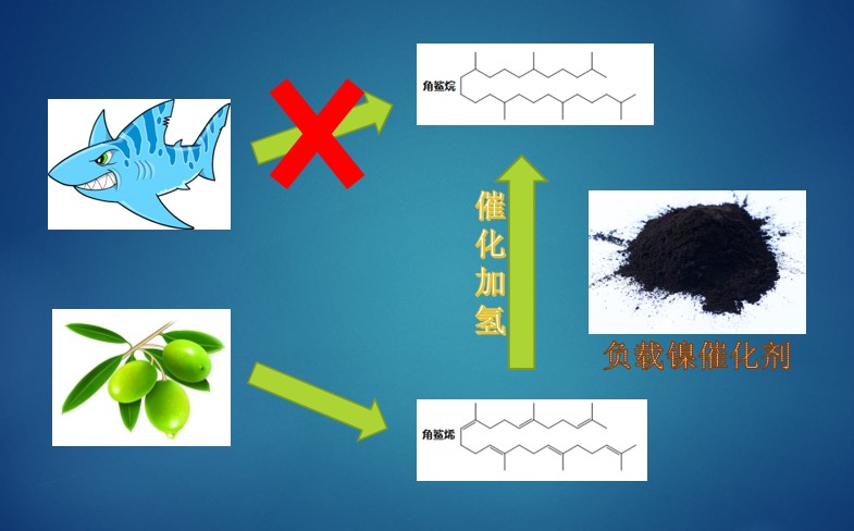角鯊烷-保護鯊魚-負載鎳