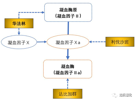 利伐沙班5