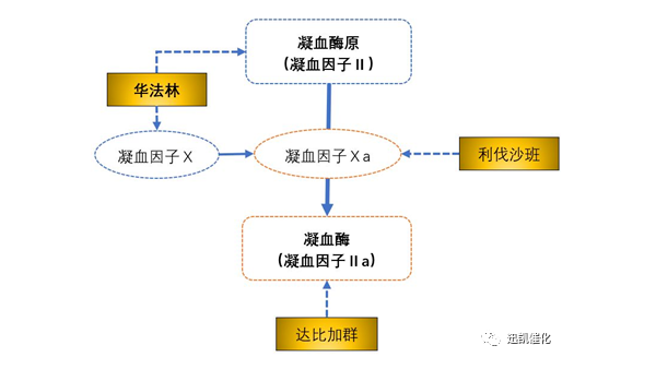 利伐沙班中間體：4-(4-氨基苯基)-3-嗎啉酮的合成