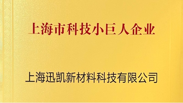 【喜報】迅凱催化榮獲“上海市科技小巨人企業”稱號