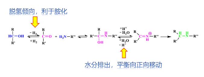 還原胺化反應(yīng)
