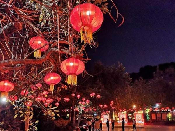 硝基加氫專用催化劑，用于顏料金光紅——讓中國紅更加燦爛