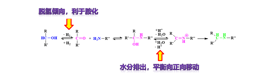 反應機理